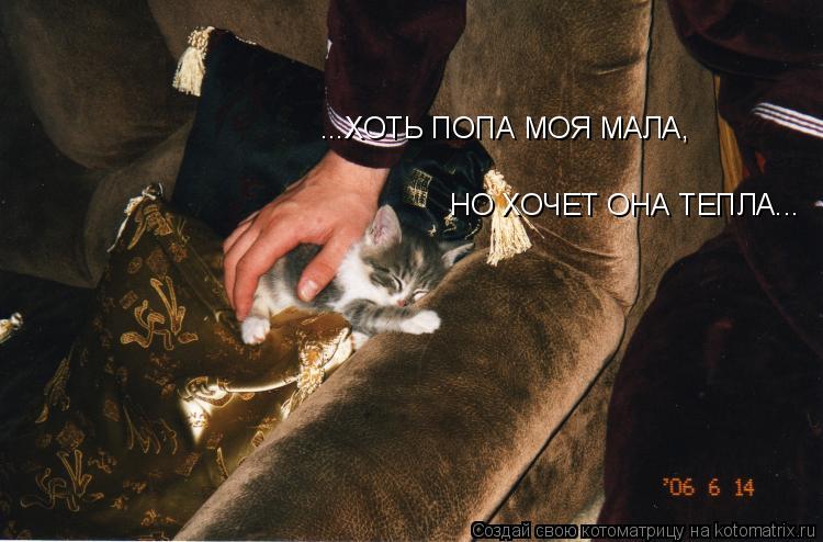 ...ХОТЬ ПОПА МОЯ МАЛА, НО ХОЧЕТ ОНА ТЕПЛА...... Котоматрица: ...ХОТЬ ПОПА МОЯ МАЛА, НО ХОЧЕТ ОНА ТЕПЛА...