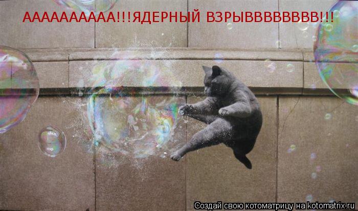 АААААААААА!!!ЯДЕРНЫЙ ВЗРЫВВВВВВВВ!!!... Котоматрица: АААААААААА!!!ЯДЕРНЫЙ ВЗРЫВВВВВВВВ!!!
