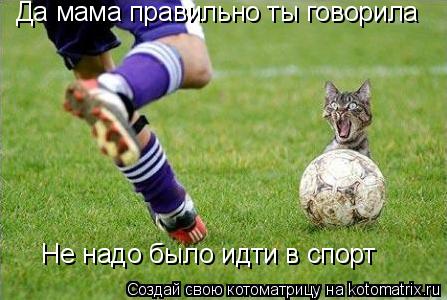 Да мама правильно ты говорила Не надо было идти в спорт... Котоматрица: Да мама правильно ты говорила Не надо было идти в спорт