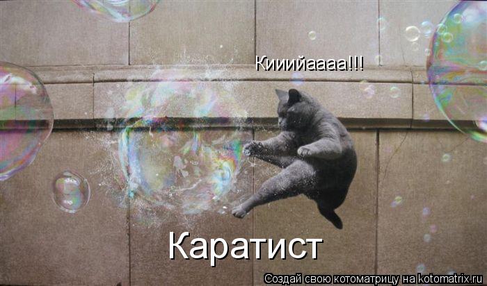 Кииийаааа!!! Каратист... Котоматрица: Кииийаааа!!! Каратист