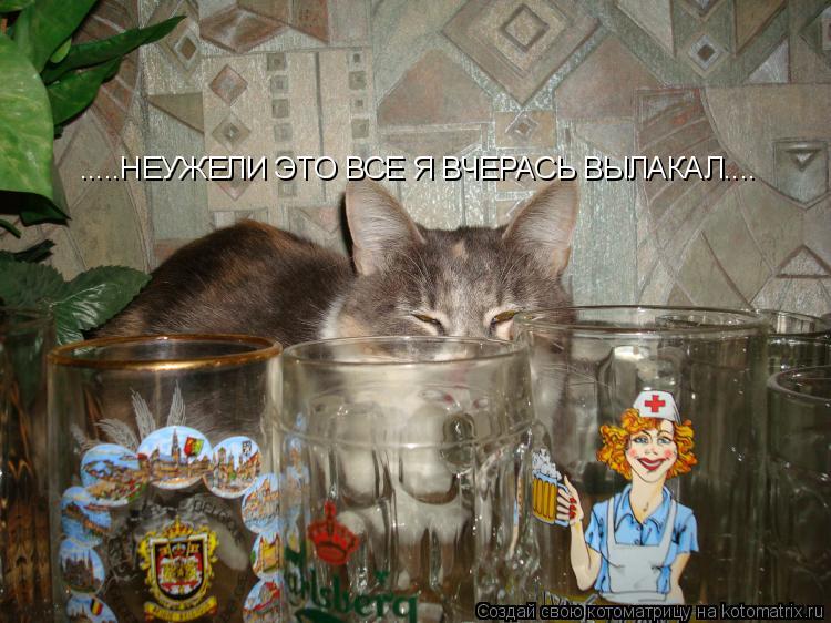 .....НЕУЖЕЛИ ЭТО ВСЕ Я ВЧЕРАСЬ ВЫЛАКАЛ....... Котоматрица: .....НЕУЖЕЛИ ЭТО ВСЕ Я ВЧЕРАСЬ ВЫЛАКАЛ....