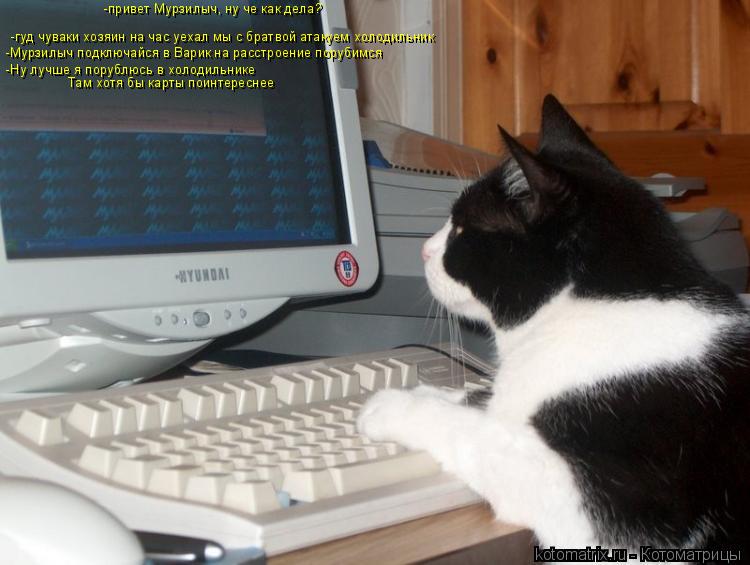 -привет Мурзилыч, ну че как дела? -гуд чуваки хозяин на час уехал мы с братвой атакуем холодильник -М... Котоматрица: -привет Мурзилыч, ну че как дела? -гуд чуваки хозяин на час уехал мы с братвой атакуем холодильник -Мурзилыч подключайся в Варик на расстроен
