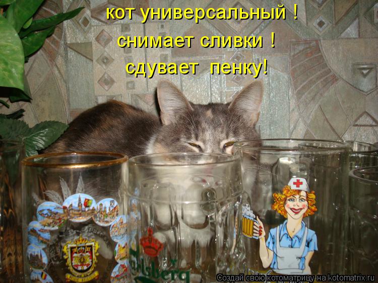 кот универсальный ! снимает сливки ! сдувает пенку!... Котоматрица: кот универсальный ! снимает сливки ! сдувает пенку!
