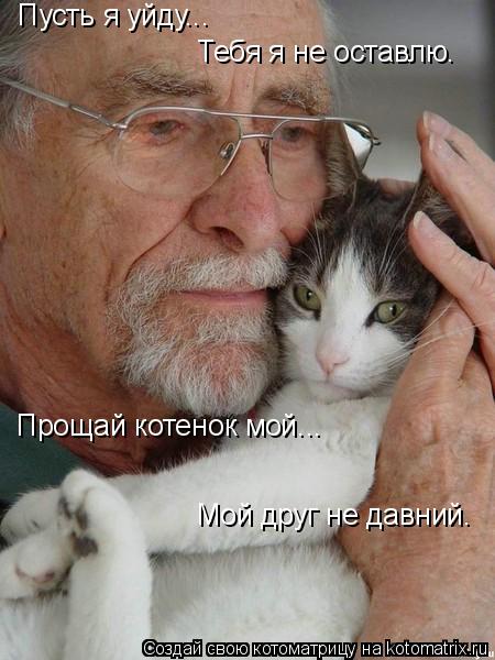 Пусть я уйду... Тебя я не оставлю. Прощай котенок мой... Мой друг не давний.... Котоматрица: Пусть я уйду... Тебя я не оставлю. Прощай котенок мой... Мой друг не давний.