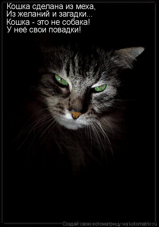 Кошка сделана из меха, Из желаний и загадки... Кошка - это не собака! У неё свои повадки!... Котоматрица: Кошка сделана из меха, Из желаний и загадки... Кошка - это не собака! У неё свои повадки!