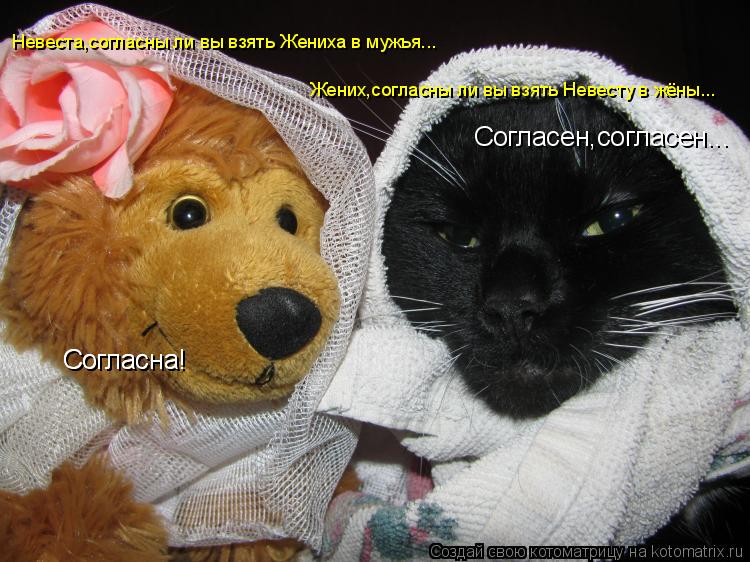 Согласна! Согласна! Невеста,согласны ли вы взять Жениха в мужья... Жених,согласны ли вы взять Невесту... Котоматрица: Согласна! Согласна! Невеста,согласны ли вы взять Жениха в мужья... Жених,согласны ли вы взять Невесту в жёны... Согласен,согласен...