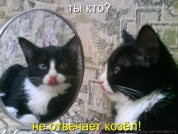 ты кто? не отвечает козёл!... Котоматрица: ты кто? не отвечает козёл!