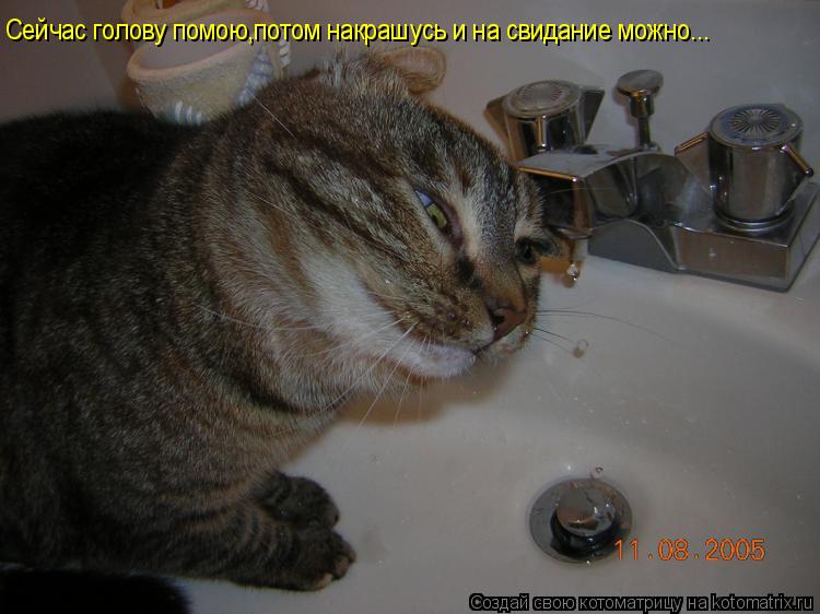 Сейчас голову помою,потом накрашусь и на свидание можно...... Котоматрица: Сейчас голову помою,потом накрашусь и на свидание можно...