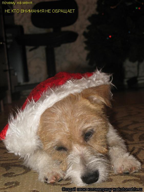 почему на меня... НЕ КТО ВНИМАНИЯ НЕ ОБРАЩАЕТ... Котоматрица: почему на меня... НЕ КТО ВНИМАНИЯ НЕ ОБРАЩАЕТ