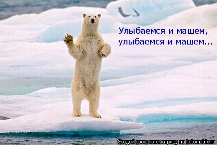 Улыбаемся и машем, улыбаемся и машем... Улыбаемся и машем, улыбаемся и машем...... Котоматрица: Улыбаемся и машем, улыбаемся и машем... Улыбаемся и машем, улыбаемся и машем...
