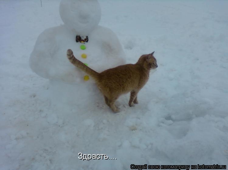 Здрасть....... Котоматрица: Здрасть....