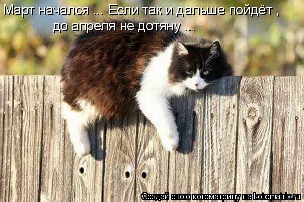 Март начался ... Если так и дальше пойдёт , до апреля не дотяну ...... Котоматрица: Март начался ... Если так и дальше пойдёт , до апреля не дотяну ...