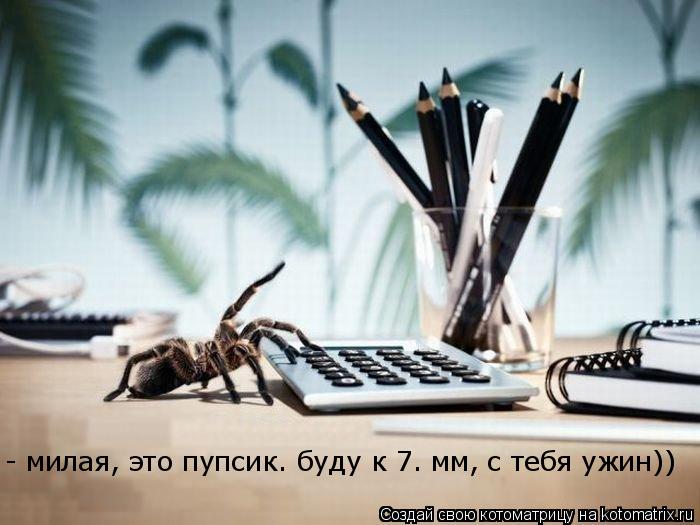 - милая, это пупсик. буду к 7. мм, с тебя ужин))... Котоматрица: - милая, это пупсик. буду к 7. мм, с тебя ужин))