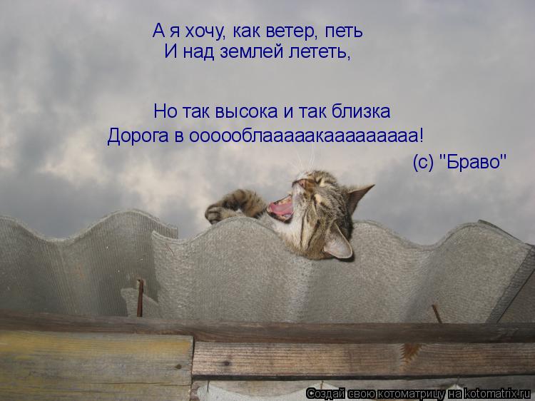 Но так высока и так близка Дорога в оооооблааааакааааааааа! А я хочу, как ветер, петь И над землей л... Котоматрица: Но так высока и так близка Дорога в оооооблааааакааааааааа! А я хочу, как ветер, петь И над землей лететь, (с) "Браво"