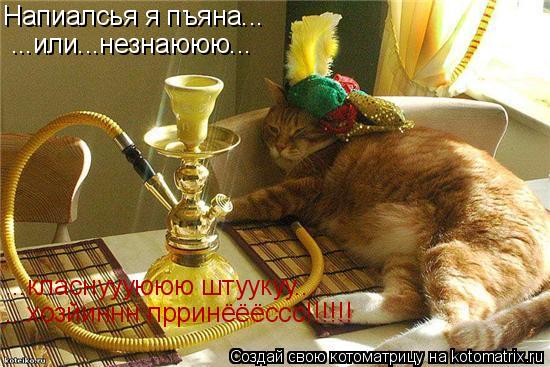Котоматрица: Напиалсья я пъяна... ...или...незнаююю... ...класнуууююю штуукуу... ...хозйиннн прринёёёссс!!!!!!