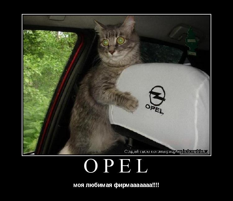 Котоматрица: OPEL моя любимая фирмааааааа!!!!