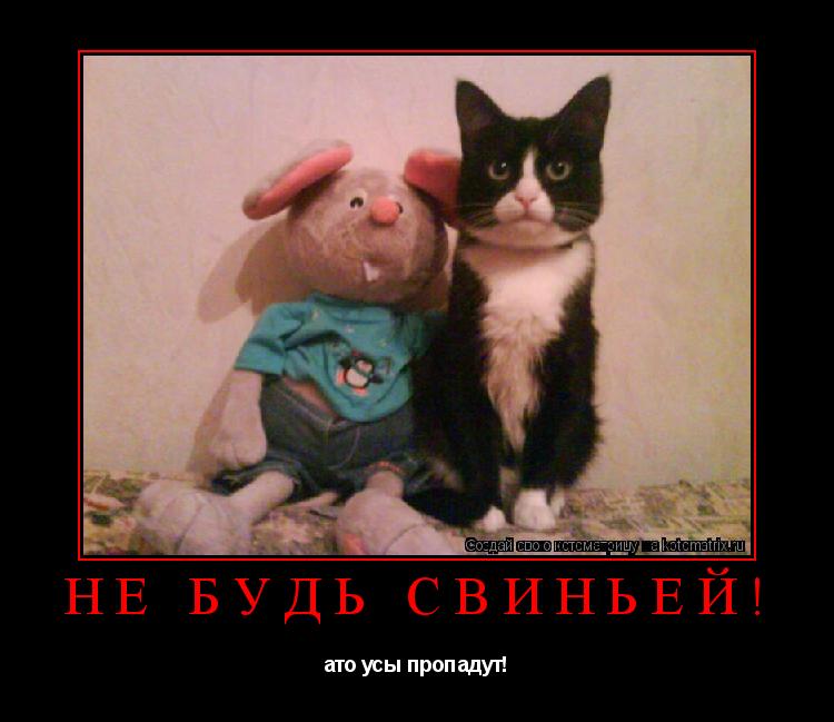 Котоматрица: не будь свиньёй! ато усы пропадут!