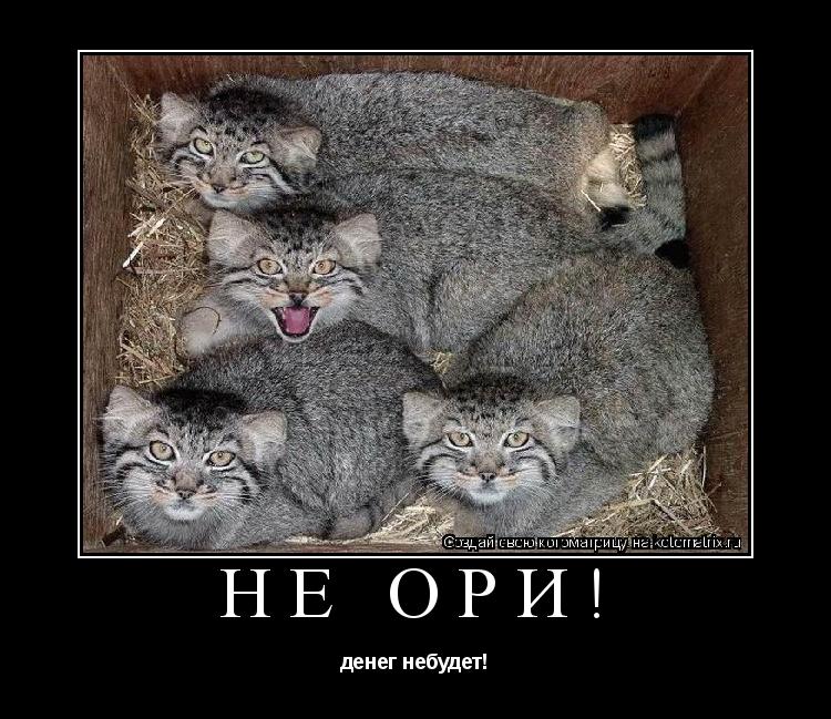 Котоматрица: не ори! денег небудет!