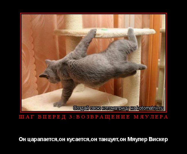 Котоматрица: Шаг вперёд 3:возвращение Мяулера Он царапается,он кусается,он танцует,он Мяулер Вискер