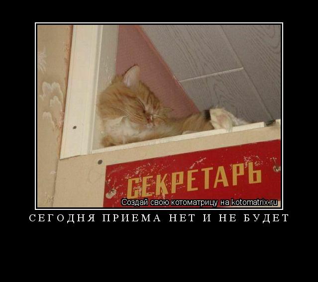 Котоматрица: СЕГОДНЯ ПРИЕМА НЕТ И НЕ БУДЕТ 