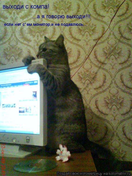 выходи с компа! ...а я говорю выходи!!! если нет с*ем монитор,и не подавлюсь...... Котоматрица: выходи с компа! ...а я говорю выходи!!! если нет с*ем монитор,и не подавлюсь...