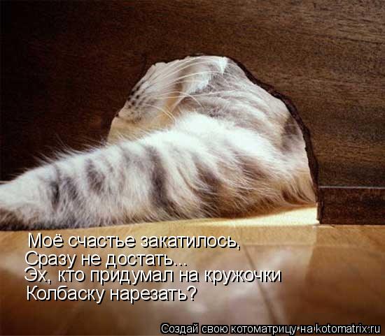 Моё счастье закатилось, Сразу не достать... Эх, кто придумал на кружочки Колбаску нарезать?... Котоматрица: Моё счастье закатилось, Сразу не достать... Эх, кто придумал на кружочки Колбаску нарезать?