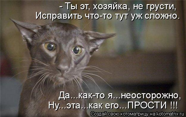 - Ты эт, хозяйка, не грусти, Исправить что-то тут уж сложно. Да...как-то я...неосторожно, Ну...эта...... Котоматрица: - Ты эт, хозяйка, не грусти, Исправить что-то тут уж сложно. Да...как-то я...неосторожно, Ну...эта...как его...ПРОСТИ !!!