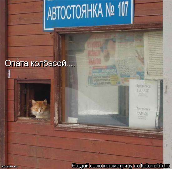 Котоматрица: Опата колбасой....