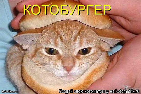 Котоматрица: КОТОБУРГЕР