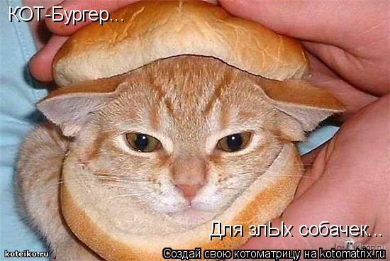 Котоматрица: КОТ-Бургер... Для злЫх собачек...