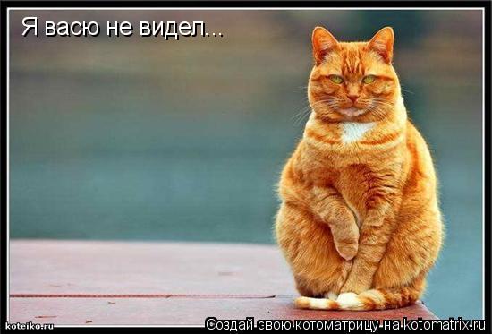 Котоматрица: Я васю не видел...