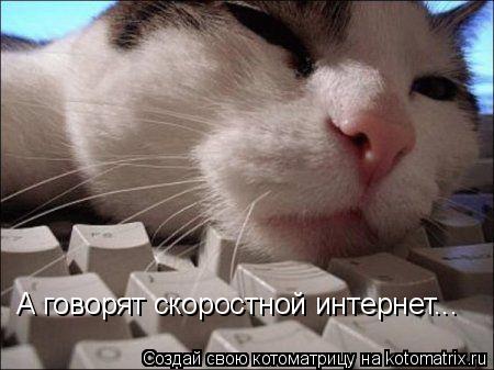 Котоматрица: А говорят скоростной интернет...