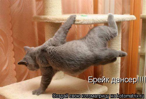 Котоматрица: Брейк дансер!!!!