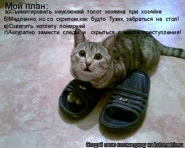 Котоматрица: Мой план: б)Медленно, но со  скрипом,как  будто  Тузик, забраться  на  стол! а)Съимитировать  неуклюжий  топот  хозяина  при  хозяйке в)Схватить  