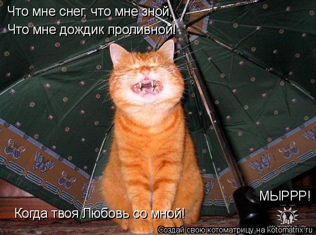 Котоматрица: Когда твоя Любовь со мной! Что мне снег, что мне зной, Что мне дождик проливной! МЫРРР!