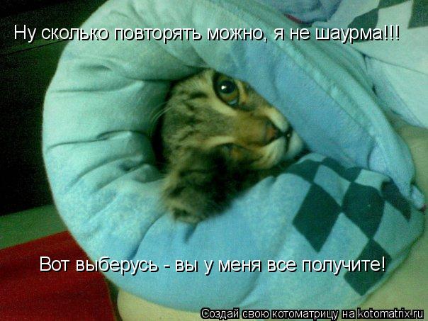Котоматрица: Ну сколько повторять можно, я не шаурма!!! Вот выберусь - вы у меня все получите!