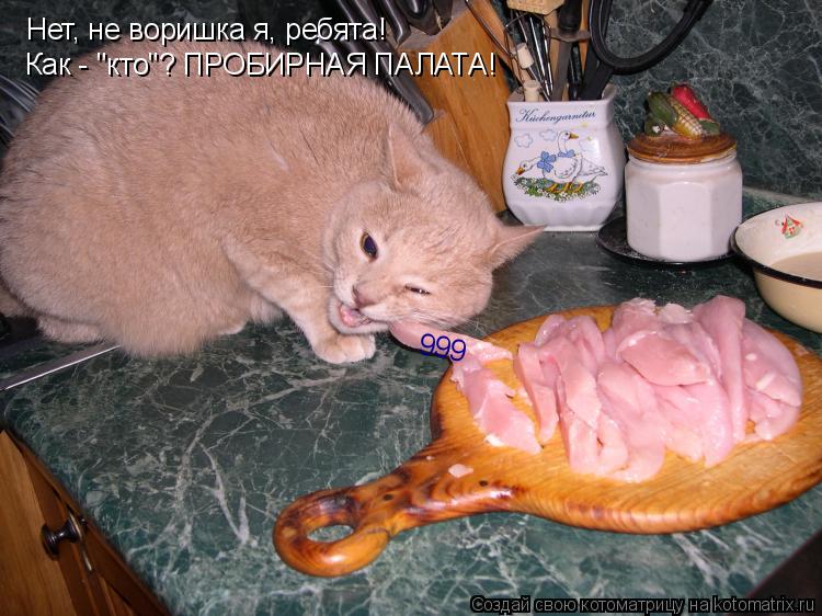 Котоматрица: Нет, не воришка я, ребята! Как - "кто"? ПРОБИРНАЯ ПАЛАТА! 999