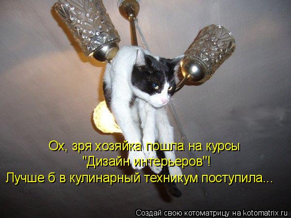 Котоматрица: Ох, зря хозяйка пошла на курсы "Дизайн интерьеров"! Лучше б в кулинарный техникум поступила...