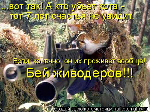 Котоматрица: ...вот так! А кто убьет кота -  тот 7 лет счастья не увидит. Если, конечно, он их проживет вообще! Бей живодеров!!!