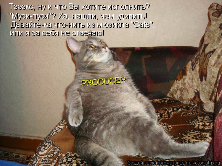 Котоматрица: Тэээкс, ну и что Вы хотите исполнить? "Муси-пуси"? Ха, нашли, чем удивить! Давайте-ка что-нить из мюзикла "Cats", или я за себя не отвечаю! PRODUCER