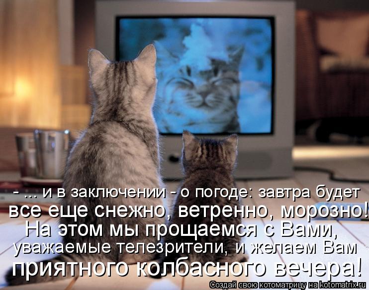 - ... и в заключении - о погоде: завтра будет все еще снежно, ветренно, морозно! На этом мы прощаем... Котоматрица: - ... и в заключении - о погоде: завтра будет все еще снежно, ветренно, морозно! На этом мы прощаемся с Вами, уважаемые телезрители, и желаем Ва