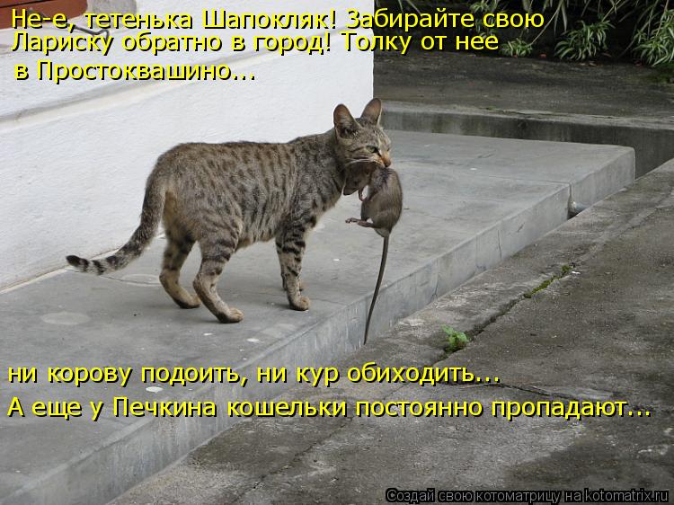Котоматрица: Не-е, тетенька Шапокляк! Забирайте свою А еще у Печкина кошельки постоянно пропадают... Лариску обратно в город! Толку от нее  в Простоквашин