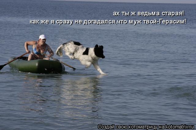 Котоматрица: ах ты ж ведьма старая! как же я сразу не догадался,что муж твой-Герасим!