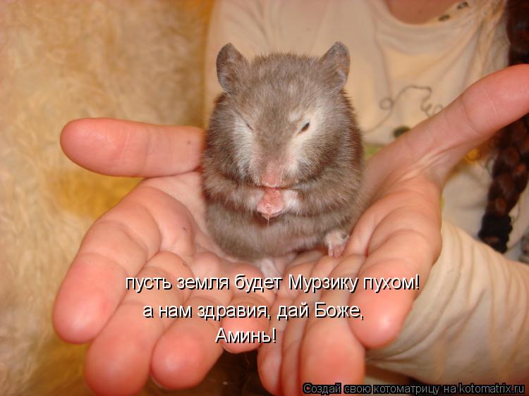 Котоматрица: пусть земля будет Мурзику пухом! а нам здравия, дай Боже, Аминь!
