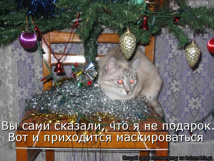 Котоматрица: Вы сами сказали, что я не подарок. Вот и приходится маскироваться