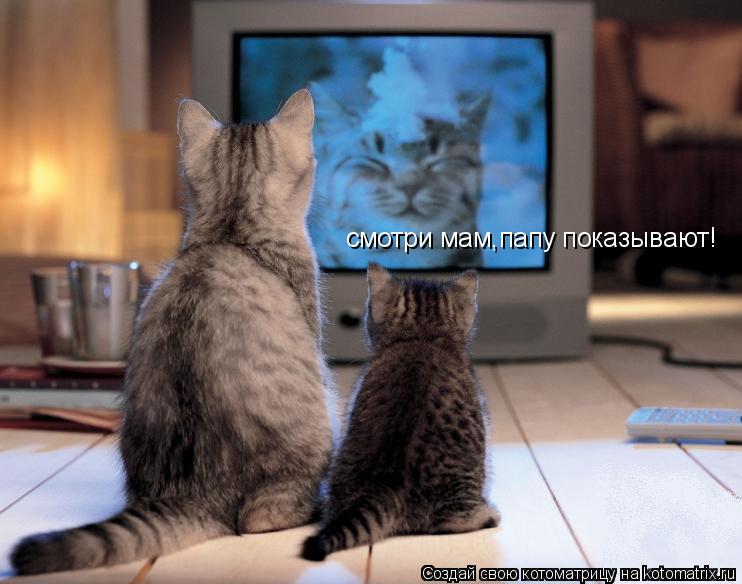 Котоматрица: смотри мам,папу показывают!