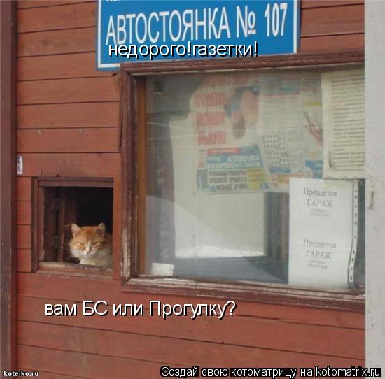 Котоматрица: вам БС или Прогулку? недорого!газетки!
