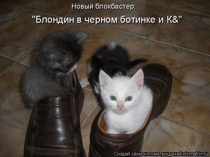 Котоматрица: Новый блокбастер: "Блондин в черном ботинке и К&"