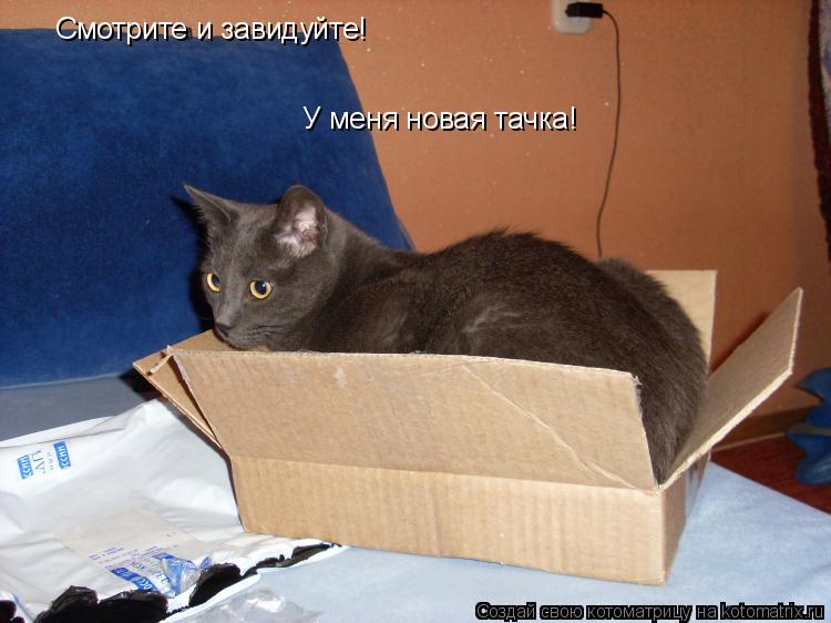 Котоматрица: Смотрите и завидуйте! У меня новая тачка!