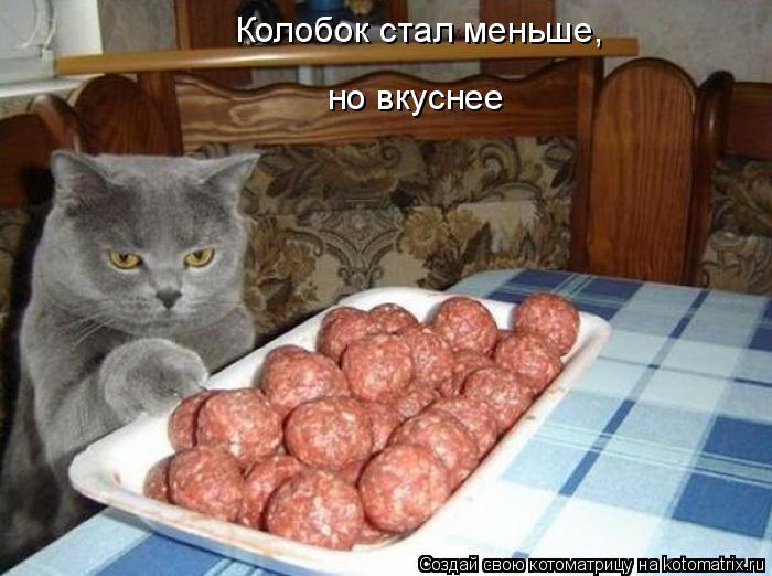 Колобок стал меньше, но вкуснее... Котоматрица: Колобок стал меньше, но вкуснее